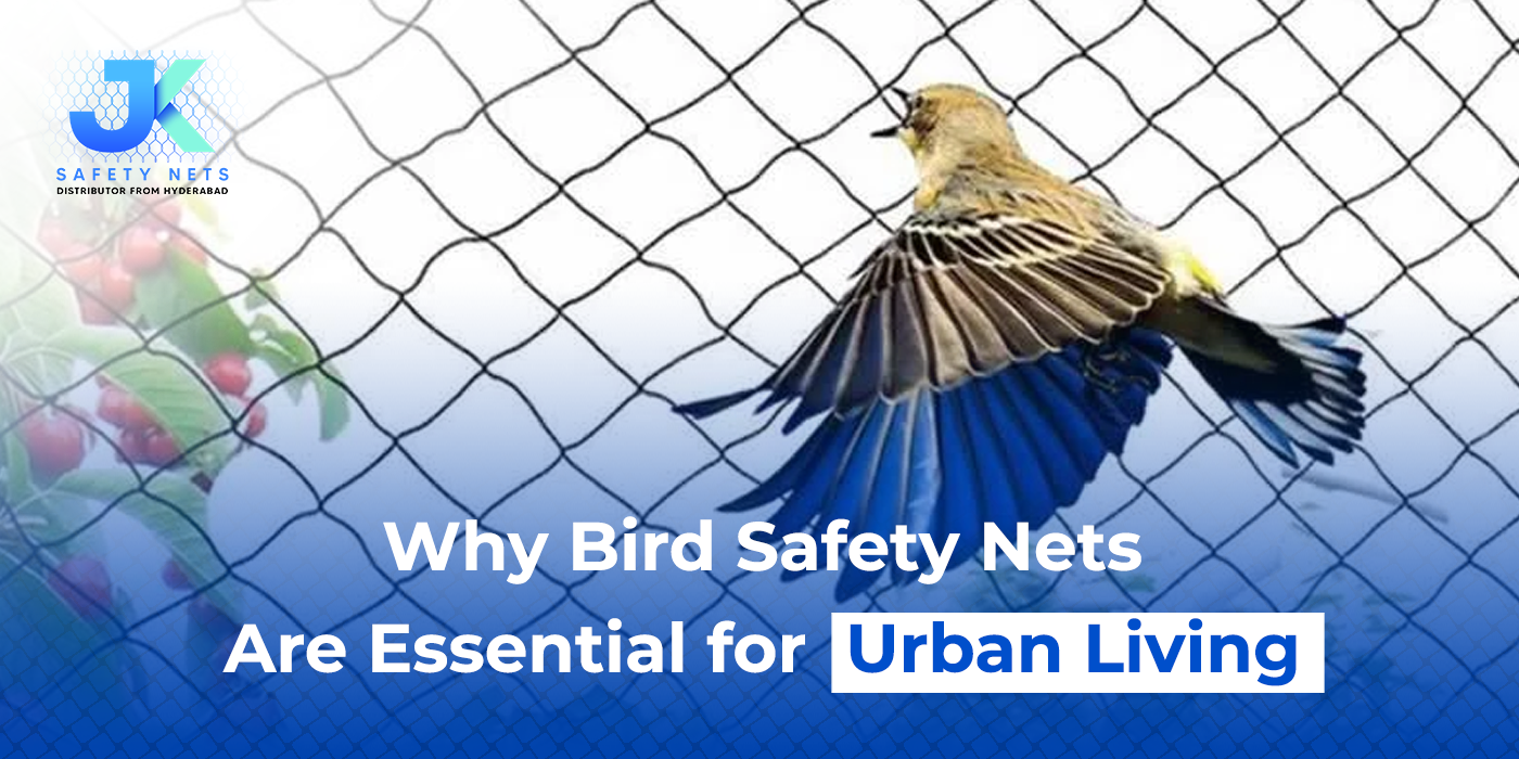 Why Bird Safety Nets Are Essential for Urban Living