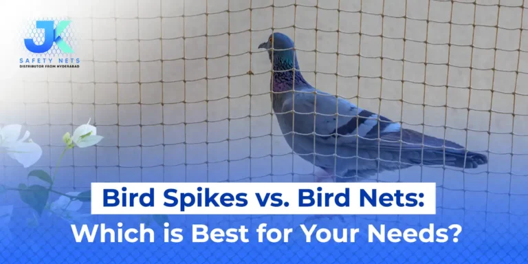 Bird spikes vs Bird nets